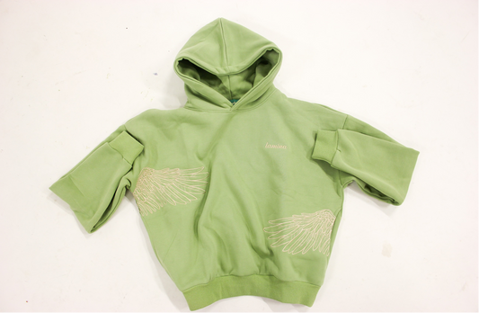 lamina 'take off' hoodie
